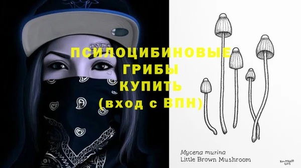 мет Нефтегорск