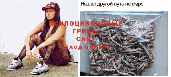 соль ск Алексеевка