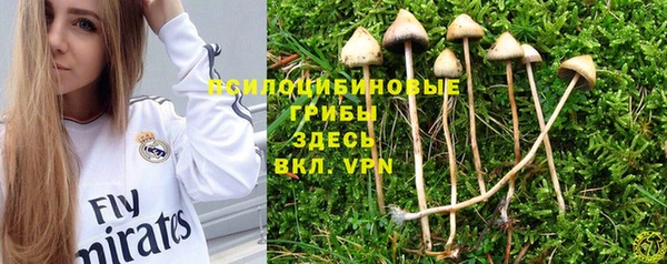 МДПВ Абдулино