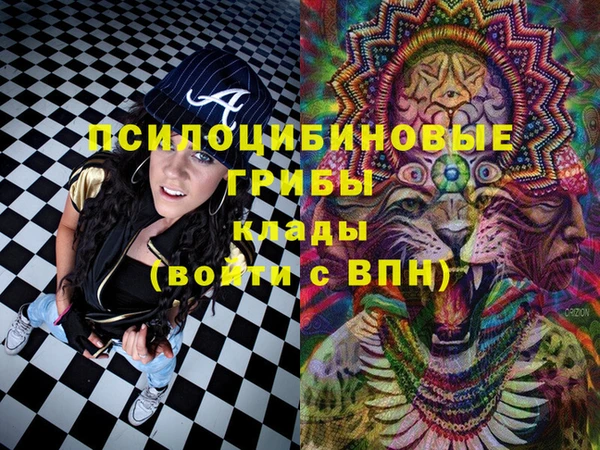 МДПВ Абдулино